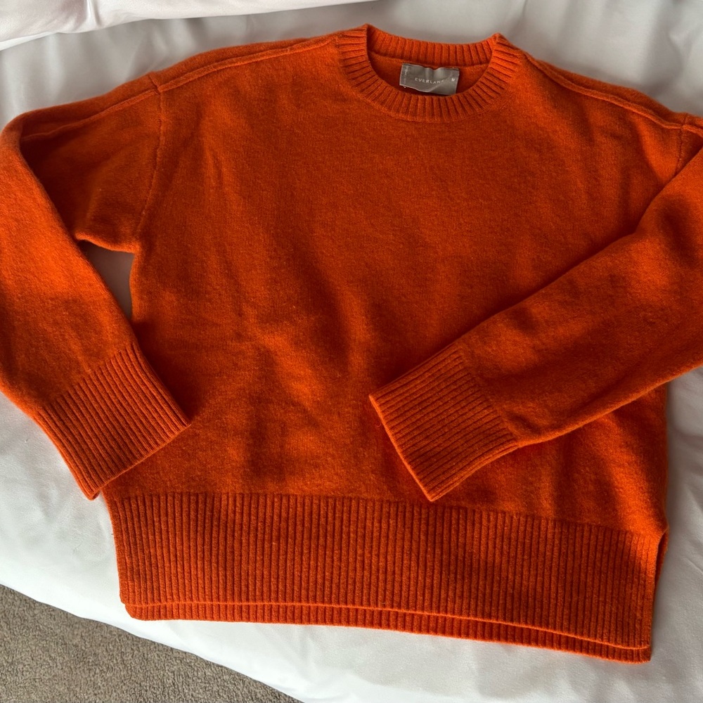 Everlane Orange Wool Cozy Crewneck Sweater